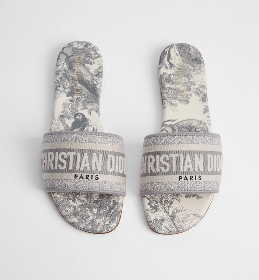 Dior Dway slide Gray