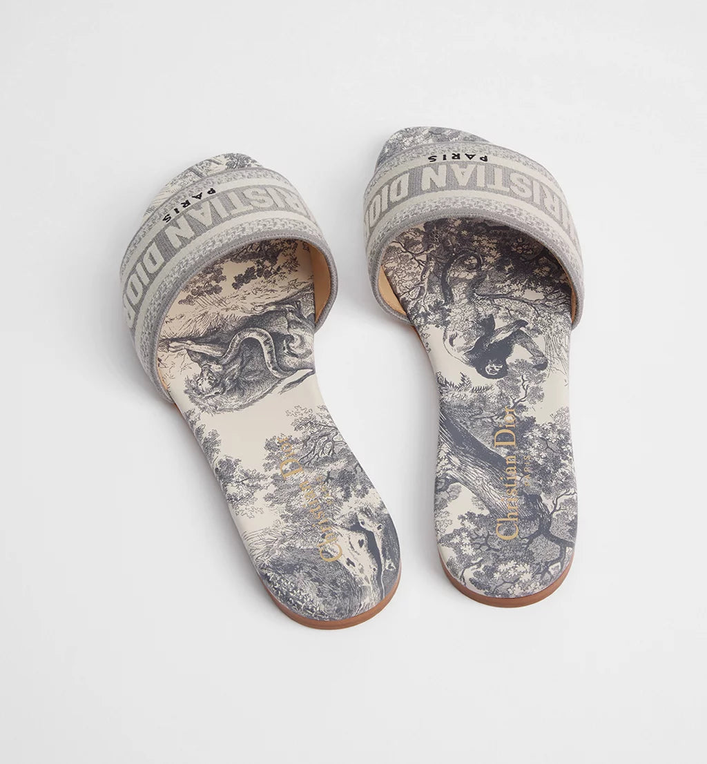 Dior Dway slide Gray